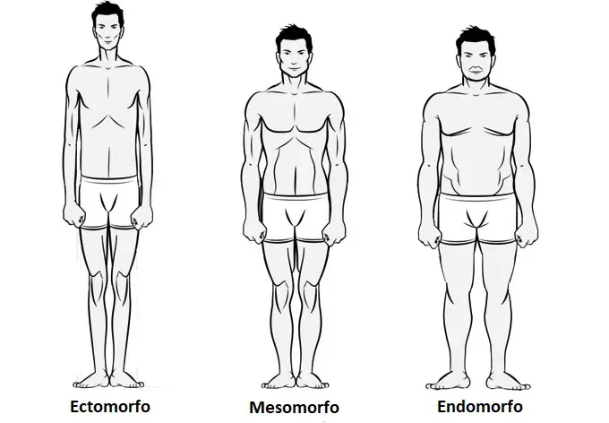 BIOTIPOS